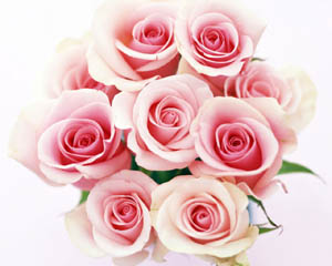 Fresh_Beautiful_Bouquet_Pink_Roses2.jpg